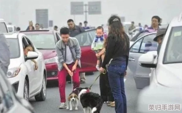 公交车奶h玩弄爽到失禁做梦素材：极速狂飙的快感让人欲罢不能