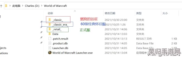 轻松掌握：如何调出大脚插件高效任务追踪功能