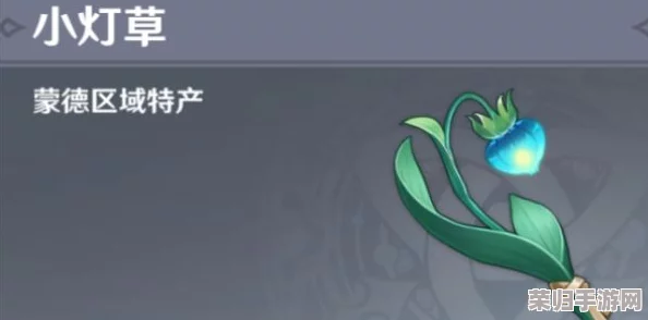 探秘原神：幽灯草采集全攻略，最佳拾取地点！