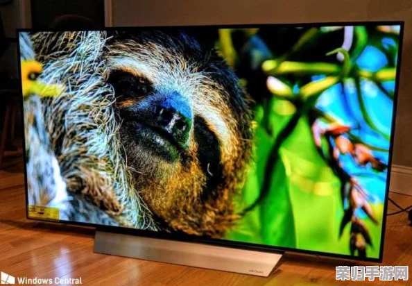 XBOXONE免费观看影视资源，畅享最新热门电影与剧集的最佳选择