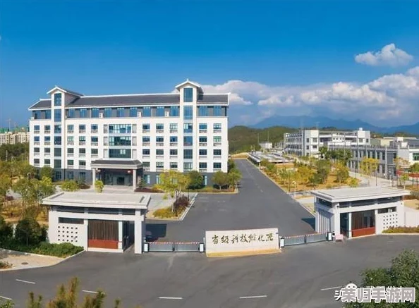 国精产品一区一区三区公司背景及其市场表现分析与行业前景评估