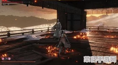 《只狼》隐藏挑战：解锁'心中的一心'，掌握终极奥义攻略！