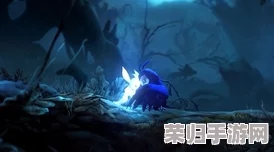 奥日与精灵意志：静谧森林之旅，全章节重聚猫头鹰的奇幻冒险篇章！
