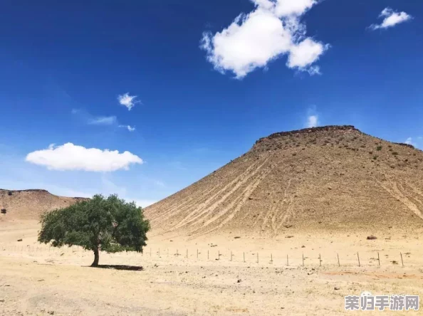 welcome仙踪林limited包子铺-网红美食打卡地，限量款口味火爆上新