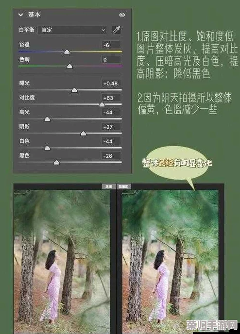 ps免费二级调色大片免费，热门词：教程、技巧、视频、素材分享