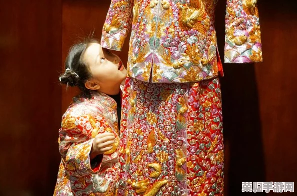 久久人力资源与普通版对比：深度分析功能优势与用户体验的全面评测