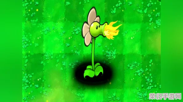 植物大战僵尸：创新杂交版——骄阳豌豆射手震撼登场，植物军团新纪元！