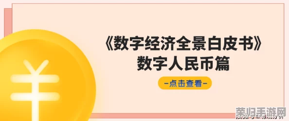 17c-起草 国：数字经济时代的创新与挑战分析