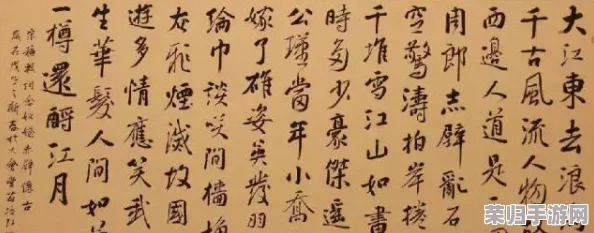 77网站：用户体验极佳，内容丰富多样，是网络资源的宝贵宝库