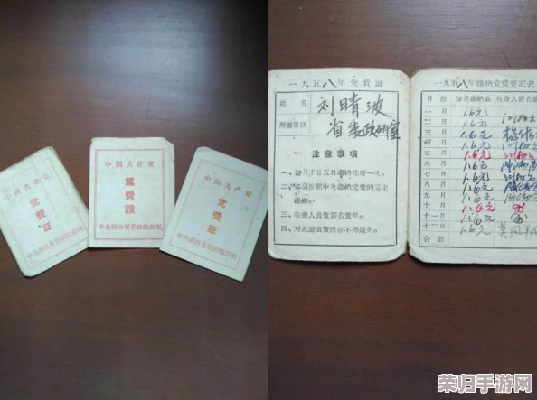 《使命召唤14：二战》全战役深度图文攻略，解锁主线剧情+珍稀纪念品收集指南+德军人物