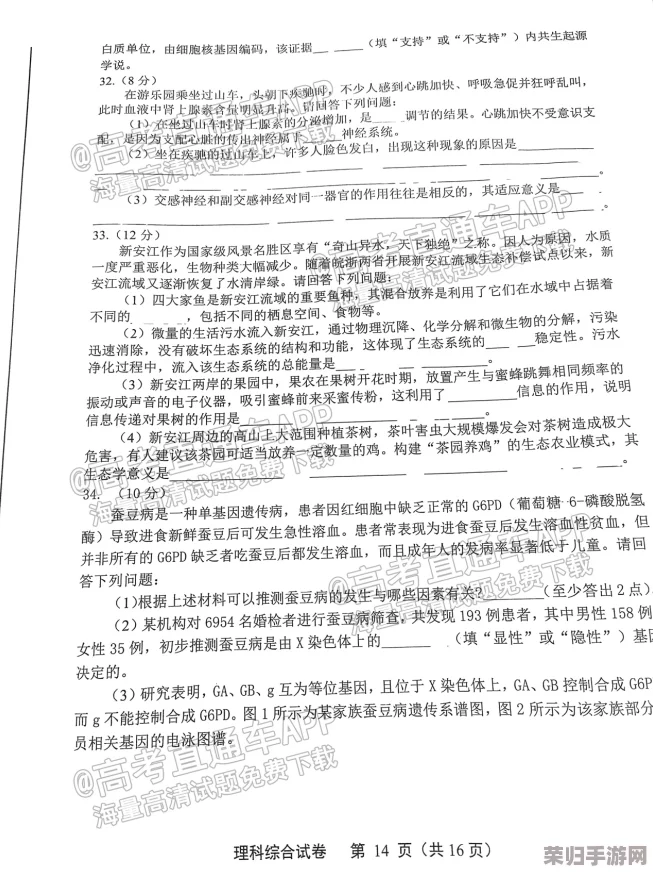 p5r考试答案：如何快速提高分数，备战高考必备技巧
