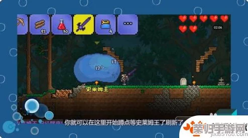 泰拉瑞亚：高效召唤史莱姆王的神秘方式与技巧分享！
