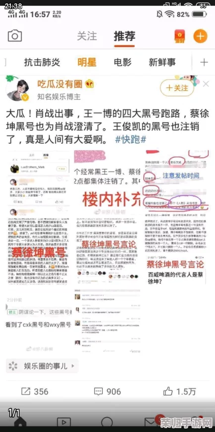 718黑瓜吃料：探究其独特风味与用户热评，揭示黑瓜的美味与吃法新体验