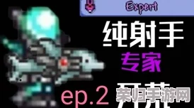泰拉瑞亚深度探索：第3辑饰品制作秘籍与创意搭配法则