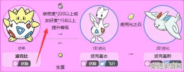 阿尔宙斯波克比进化奥秘：详细步骤助你解锁强力形态！