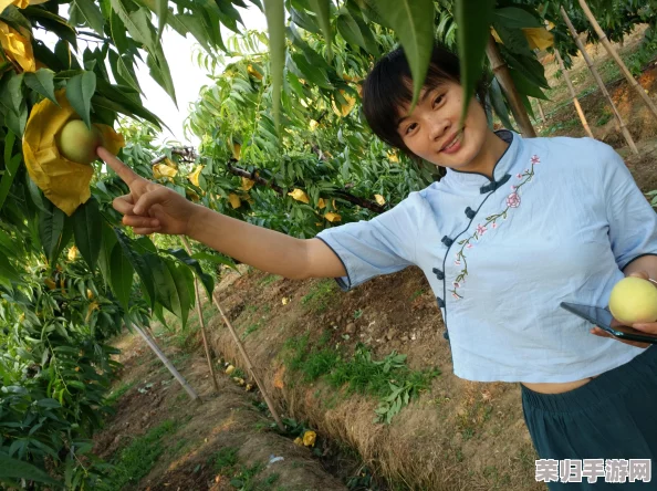 “坤哥塞进桃子里”：用户称其创意十足，口感独特，令人惊艳的美妙组合！