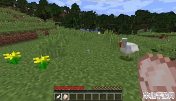 暴躁老外做Minecraft：挑战极限生存模式，打造梦幻世界的奇妙旅程！