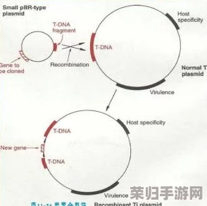 999猪和人类DNA：科学研究揭示基因相似性与生物医学的未来潜力