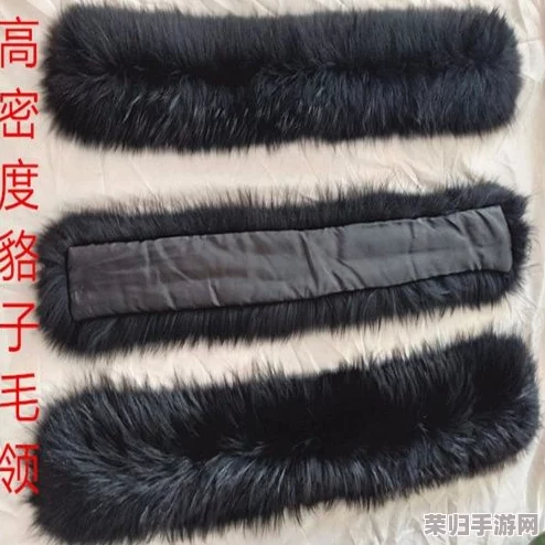 AAAA级毛皮是什么颜色？了解奢华时尚背后的秘密与流行趋势