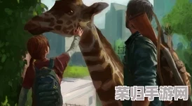 《最后生还者》重置版：全保险箱密码，生存之旅必备指南！