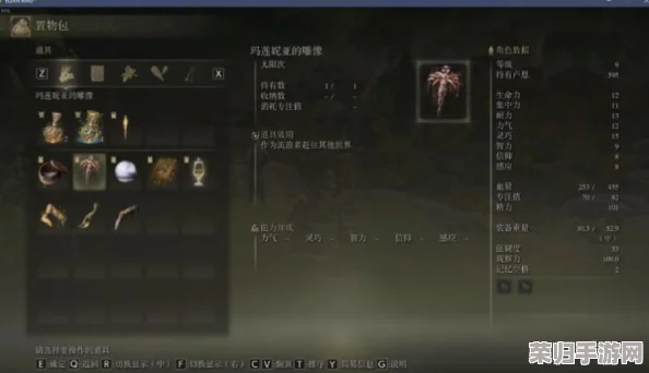 艾尔登法环DLC：法师前中期高效策略与玩法深度解析