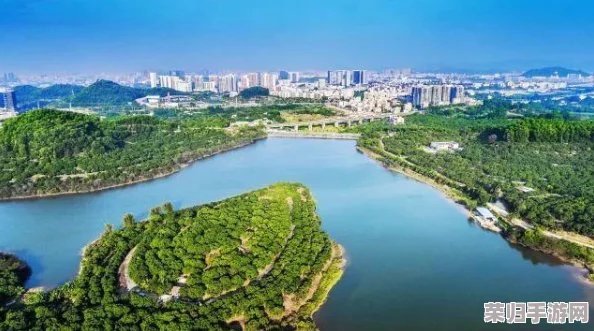 c一起草一区：独特的创意空间，激发无限灵感与合作潜力