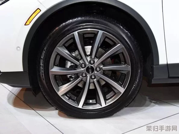太久官网：提供最新款潮流服饰，让你与众不同的时尚选择