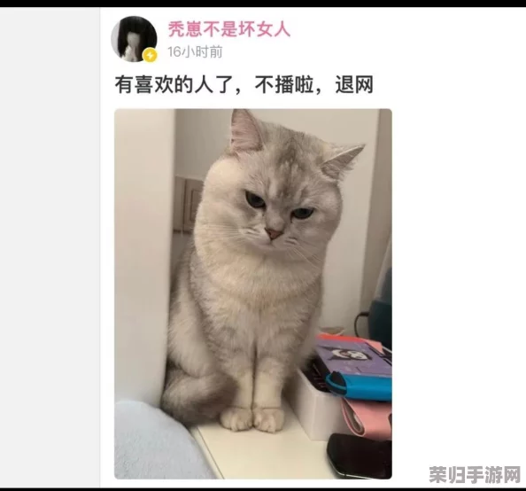 www.秃崽在线观看91：畅享最新热门剧集与精彩综艺，尽在指尖轻松观看！