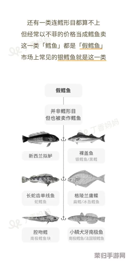 高效获取反鳕鱼蓝图秘诀:一步一步教你如何轻松到手! 高效获取反鳕鱼蓝图秘诀:一步一步教你如何轻松到手!