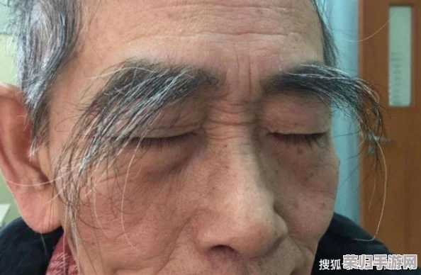 性爱毛耸耸：揭示人们对性体验的不同看法与心理感受，毛发的角色让人耳目一新