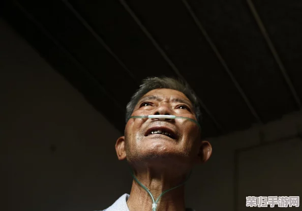 77影视：一键开启你的视觉盛宴，让精彩大片与你共舞，畅享无限欢乐时光