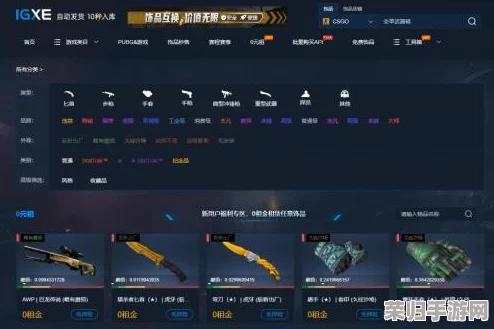 CSGO饰品租赁秘籍：轻松玩转高端装备，畅享游戏新风尚！
