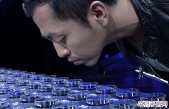 和最讨厌的部长出差旅：糟透了的工作经历，让人绝望不已