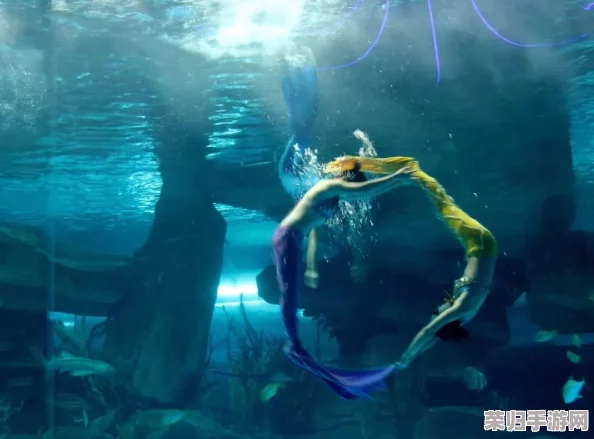 haya和manta：海底世界、神秘生物、探险历程