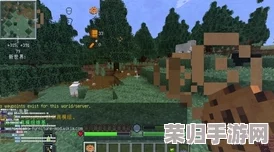夏日炽热回忆：乡野狂想曲地图，撒娇鬼领地探秘与难忘体验全攻略