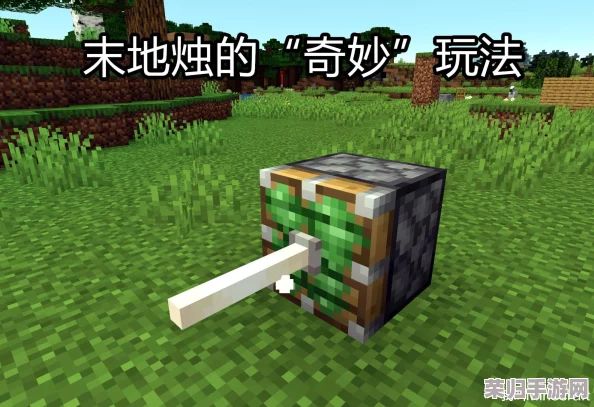 《我的世界》：爆裂紫颂果的神奇用途与探索价值！