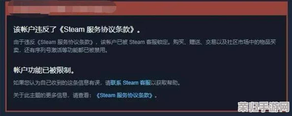 深度解析：Steam账户暂挂机制背后的含义与影响