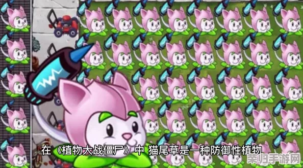 植物大战僵尸：高效获取珍稀猫尾草攻略与技巧！
