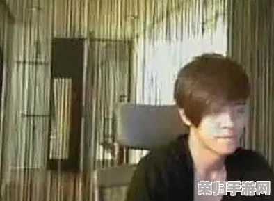 向日葵视频罗志祥总结一下：看他如何在娱乐圈逆袭与成长的精彩历程