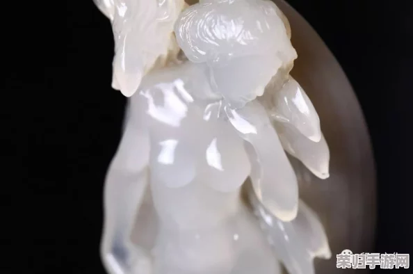 张津瑜国产精品1区2区- 精美细腻的国产作品，值得一看