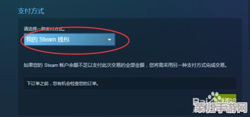 轻松解锁Steam密码查看方法，安全便捷尽在掌握！