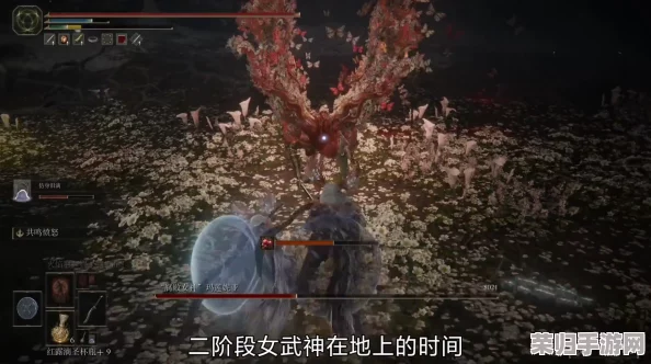 艾尔登法环：寻找神秘女武神的隐秘踪迹！
