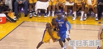 今日老师双开旗跑恩施NBA，热血篮球赛场再掀激情风潮，球迷狂欢不止！