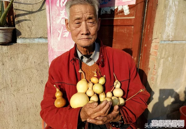 《葫芦娃里不卖药》：一部充满童趣与正义感的经典动画，值得每一代人重温