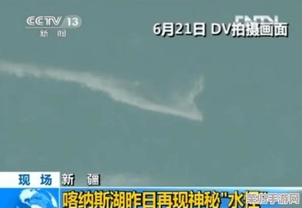央视纪录片《无人区编码6229Jm》：蚱蜢世界的奇妙生存之旅