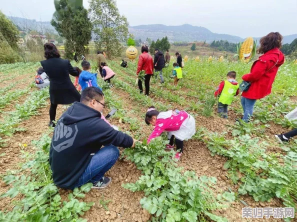 “拔萝卜”——探索农田的乐趣与辛劳，收获的不仅是营养，还有人与自然的深刻联系