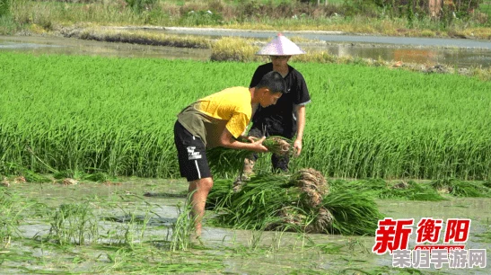 “拔萝卜”——探索农田的乐趣与辛劳，收获的不仅是营养，还有人与自然的深刻联系