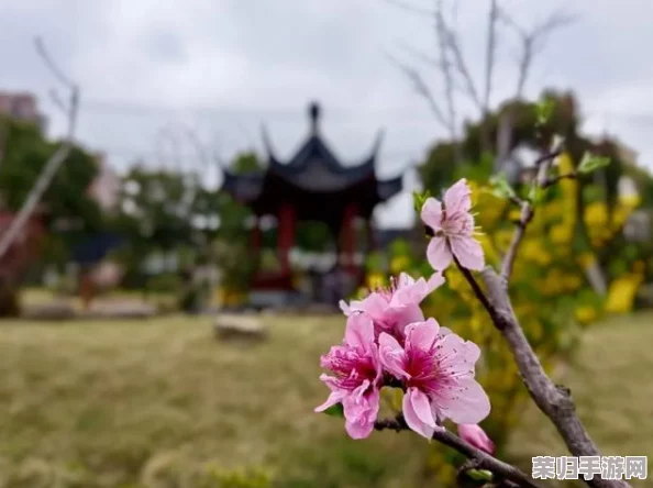 几几寒进桃子里，桃花朵朵开，春光无限好，谁与共婵娟？