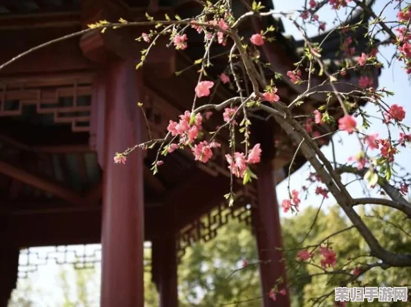 几几寒进桃子里，桃花朵朵开，春光无限好，谁与共婵娟？