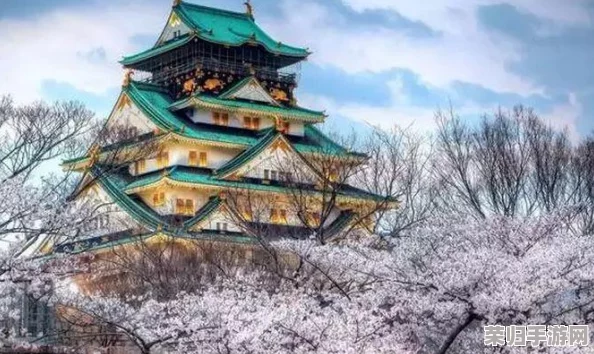 三国志英杰传：织田信长——战国枭雄的辉煌篇章